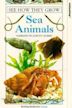 See How They Grow: Sea Animals