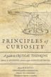 Principles of Curiosity