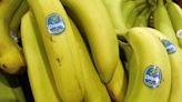 Chiquita Brands é condenada a pagar U$38,3 milhões a vítimas de grupo paramilitar de Colômbia