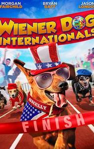 Wiener Dog Internationals