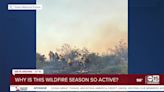 WATCH: What causes an active wildfire season?