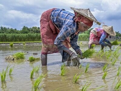 Budget for agri research needs to be doubled to widen impact: Paper