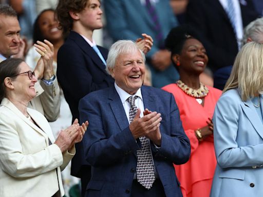 David Attenborough’s colourful impact on Wimbledon and tennis: yellow balls