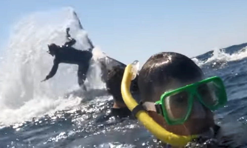 Watch: Whale tosses snorkeler out of the water; 'it was a bit scary'