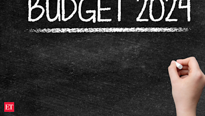 Budget recap: Indian businesses that got a leg-up in 2023 - The Economic Times