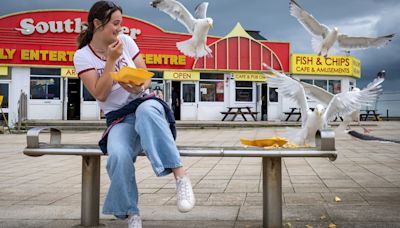 Parents reveal their biggest summer bugbears - from huge queues to greedy gulls
