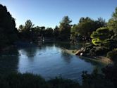 Japanese Friendship Garden of Phoenix