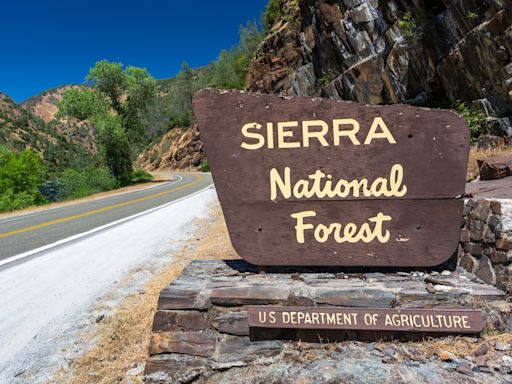 Basin Fire forces partial closure of Sierra National Forest