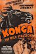 Konga, the Wild Stallion