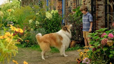'Lassie (Una nueva aventura)', la nueva película sobre la mítica perra Collie, llega a los cines este 7 de junio