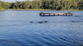 'Look how big it is!': Watch as alligator pursues screaming children in Texas