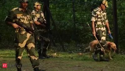 BSF beefs up security along Indo-Bangla border, launches crackdown on smugglers - The Economic Times