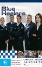 Blue Heelers