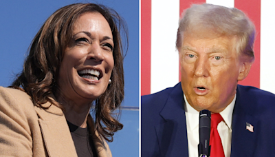 Allan Lichtman predicts Harris as 2024 winner because 'Democrats got smart' and did this