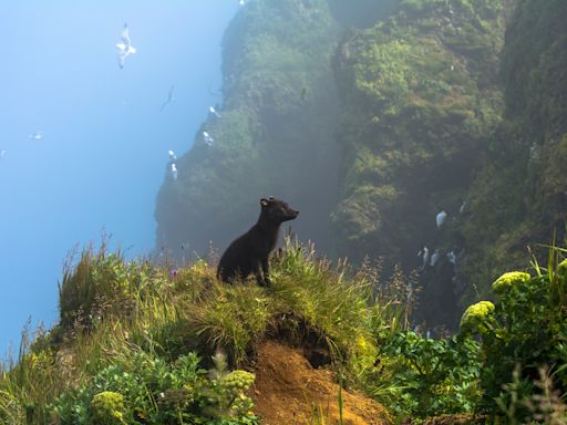 These stunning images from the 11th annual Academy of Science's BigPicture are seriously worth a look