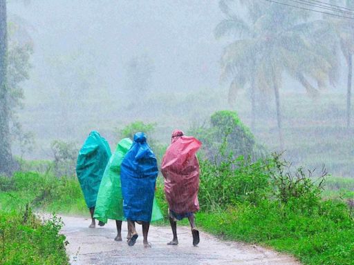 India receives 8 pc more monsoon rains, highest since 2020; good news for agricultural economy