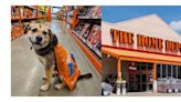 Rescatan a perrita y se convierte en una empleada muy feliz de Home Depot