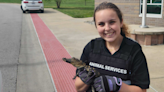 KC Pet Project finds missing alligator that disappeared at Northland middle school
