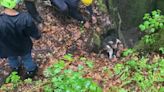 WATCH: Technical rescue team saves dog from sinkhole in Craig County