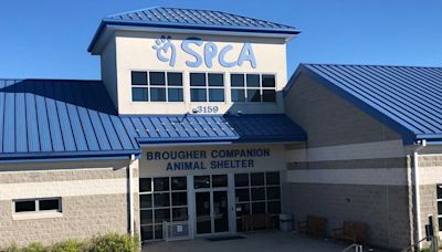 York County SPCA closes canine center for parvo outbreak