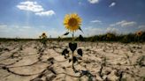 ¿Cuáles son los riesgos climáticos que aumentarán más en el siglo XXI en gran parte de la Tierra?