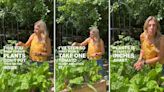 Gardener shares ‘brilliant’ trellis hack to optimize your tomato yield: ‘Quadruple the amount of plants you grow’