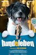 Hundeleben