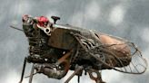 Suburban combat veteran’s scrap cicada, other art inspiring those with PTSD
