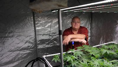 Minnesota pot growers sue state, seeking to legally sell their homegrown cannabis