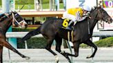 Equibase Analysis: Sumter Should Fire In San Francisco Mile