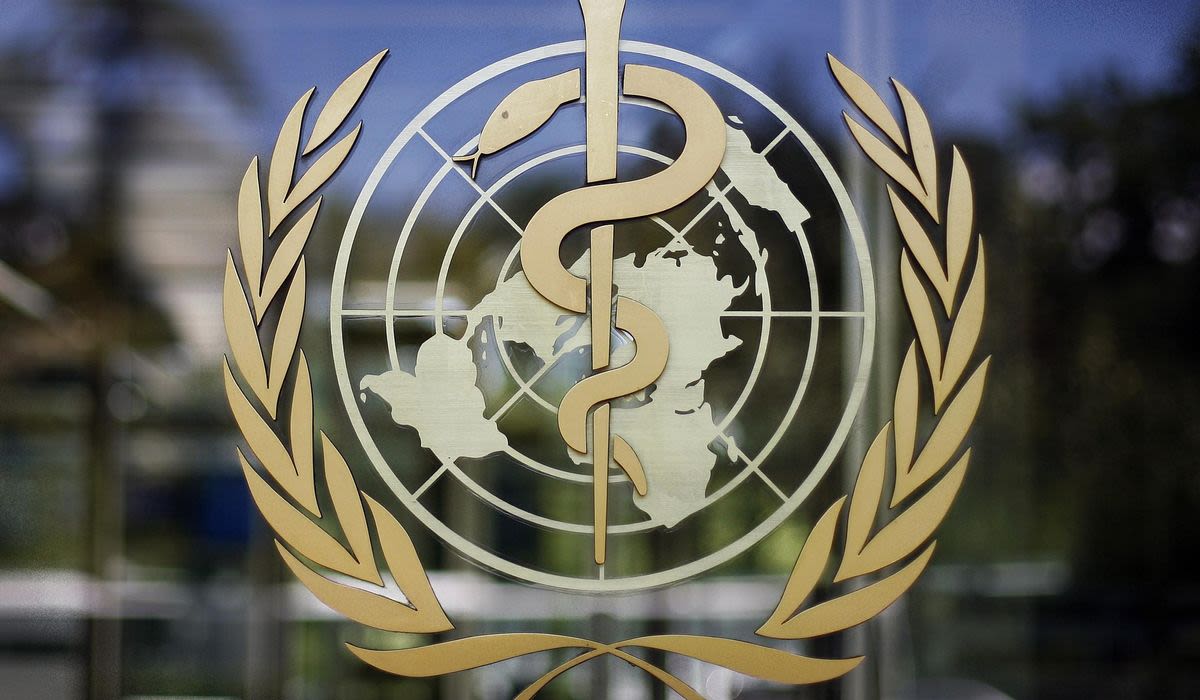 Efforts to draft global pandemic treaty falter as countries disagree on response to next emergency