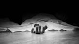 Ex-serviceman kills six family members in Ambala’s Naraingarh