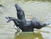 Kelpie