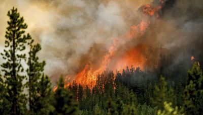 La emisión de CO₂ de los incendios forestales de Canadá en 2023 cuadruplicaron a las de los aviones