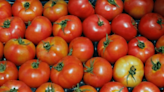 El valor de la Canasta Básica de Alimentos vuelve a superar los $ 68 mil de la mano del tomate | Diario Financiero