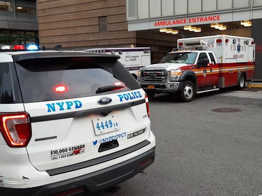 Anciana muere arrollada por auto que huía de la policía a pocas horas de nueva ley Sammy para proteger a peatones en Nueva York - El Diario NY