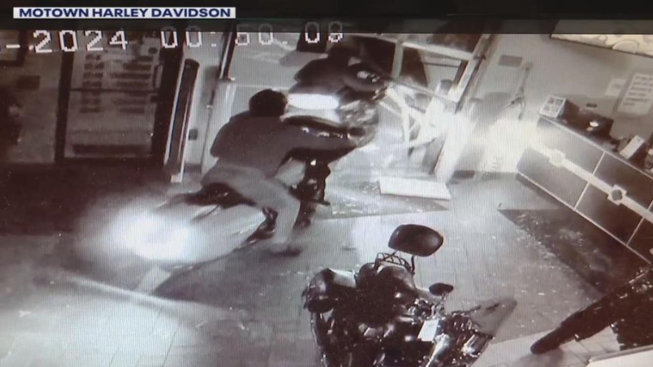 Over $100,000 in Harley Davidson bikes stolen as thieves crash through Taylor store