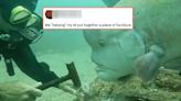 19 Jokes About This Incredibly Nosy, Big-Headed Fish That Has The Internet Obsessed