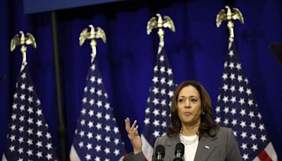 Kamala Harris descarta cambio de candidatura: ‘Estoy orgullosa de ser compañera de fórmula de Biden’