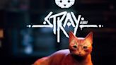 ¡De vuelta a la cima! Stray, el juego del gatito, triunfa en Reino Unido