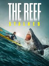 The Reef: Stalked