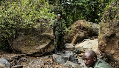 Les gardiens de Kambui livrent un combat inégal contre les chercheurs d'or et la déforestation