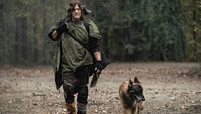 Norman Reedus Mourns Dog Actor Seven From ‘The Walking Dead’: ‘Best TV Buddy Ever’