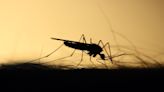 Pune witnesses continuous surge in Zika cases, pregnant women worst-affected