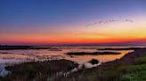 Surfside Beach, Texas, offers untamed nature, awesome wildlife