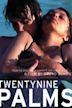 Twentynine Palms (film)