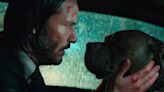 Reliving reigning 'dog person' John Wick's most memorable dog moments