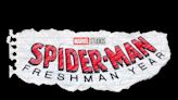 Tom Holland Will Not Return for 'Spider-man Freshman Year'