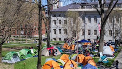 Harvard Places Encampment Protesters on Involuntary Leaves of Absence | News | The Harvard Crimson