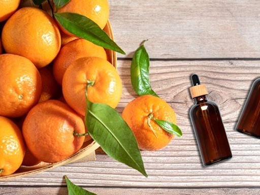 超級柑橘類黃酮大作戰 解鎖全面控油新話題-台視新聞網